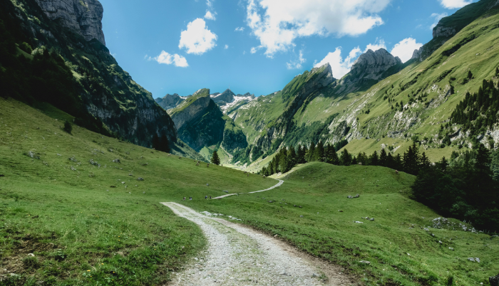 alps.png